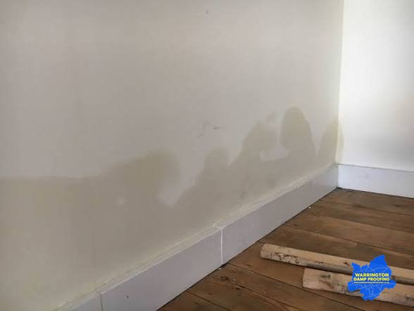Rising damp tide mark staining on a plastered wall